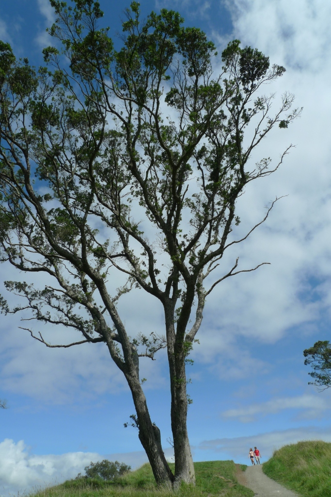 Bevictorΰ¹-Τ(й)-ΰʼ1946