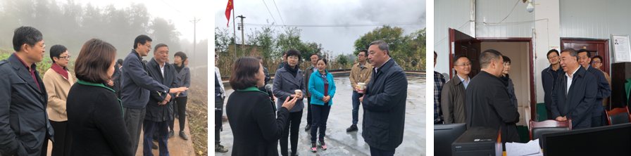 Bevictor伟德官网-韦德(中国)体育-伟大始于1946